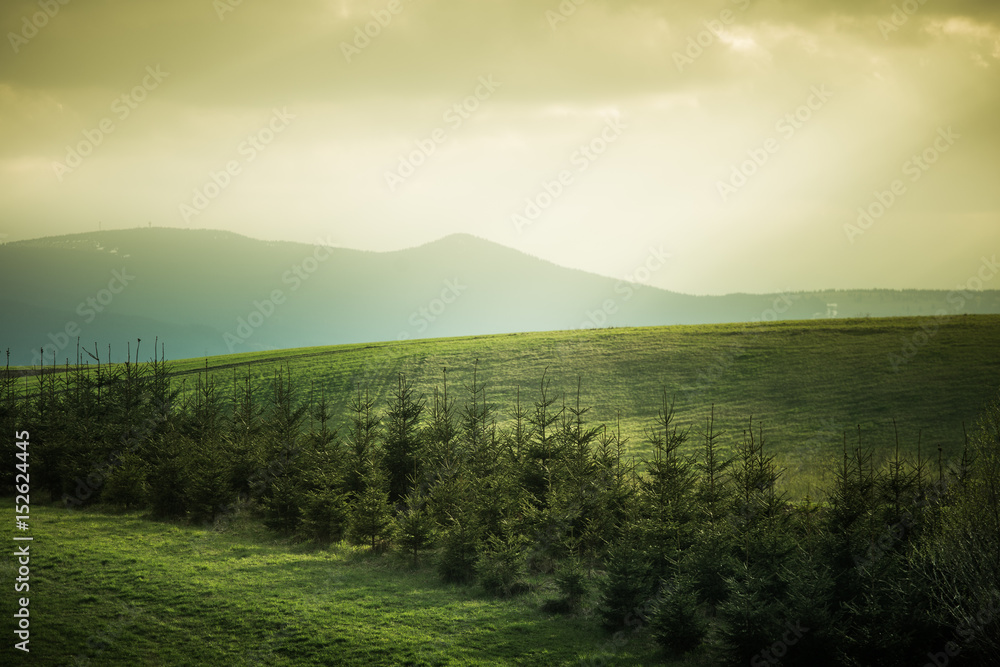 A beautiful field scenery of Slovakia. Warm summer haze, colorful contrast look.