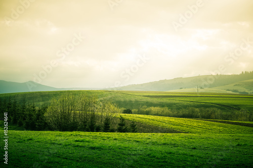 A beautiful field scenery of Slovakia. Warm summer haze  colorful contrast look.