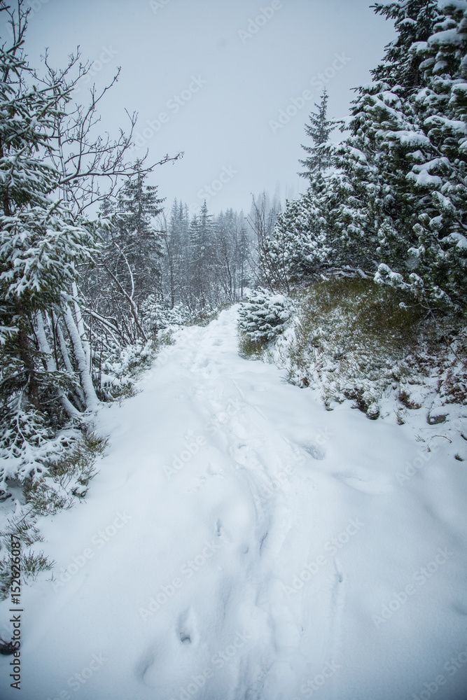 A beautiful winter mountains forest landscape with a road. Western Tatra mountains in Slovakia A beautiful winter mountains forest landscape with a road. Western Tatra mountains in Slovakia