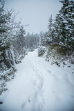 A beautiful winter mountains forest landscape with a road. Western Tatra mountains in Slovakia