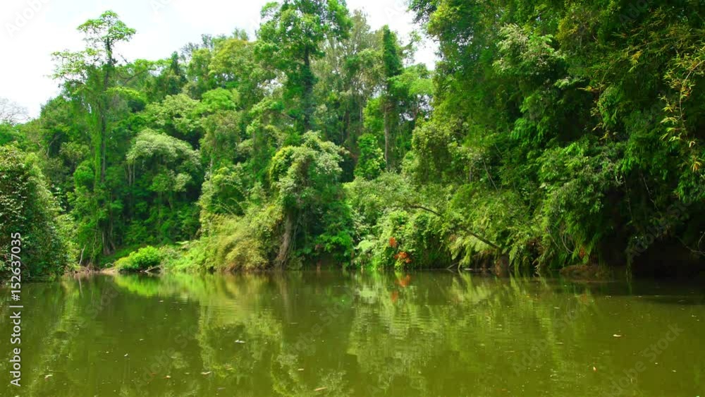 Sailing in a small canal in the countryside. Asia's tropical forests Sailing in a small canal in the countryside. Asia's tropical forests