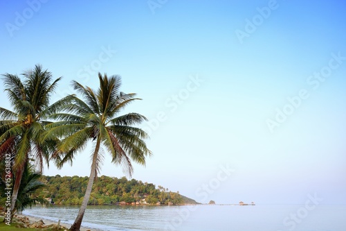 Coconut trees on seascape © atlantisfoto