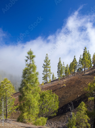 Gran Canaria, central area photo