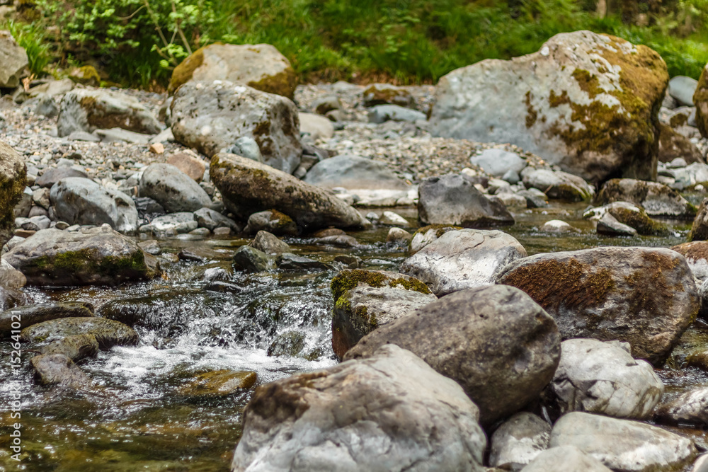 A quite creek A quite creek