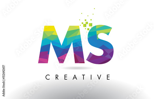 MS M S Colorful Letter Origami Triangles Design Vector.