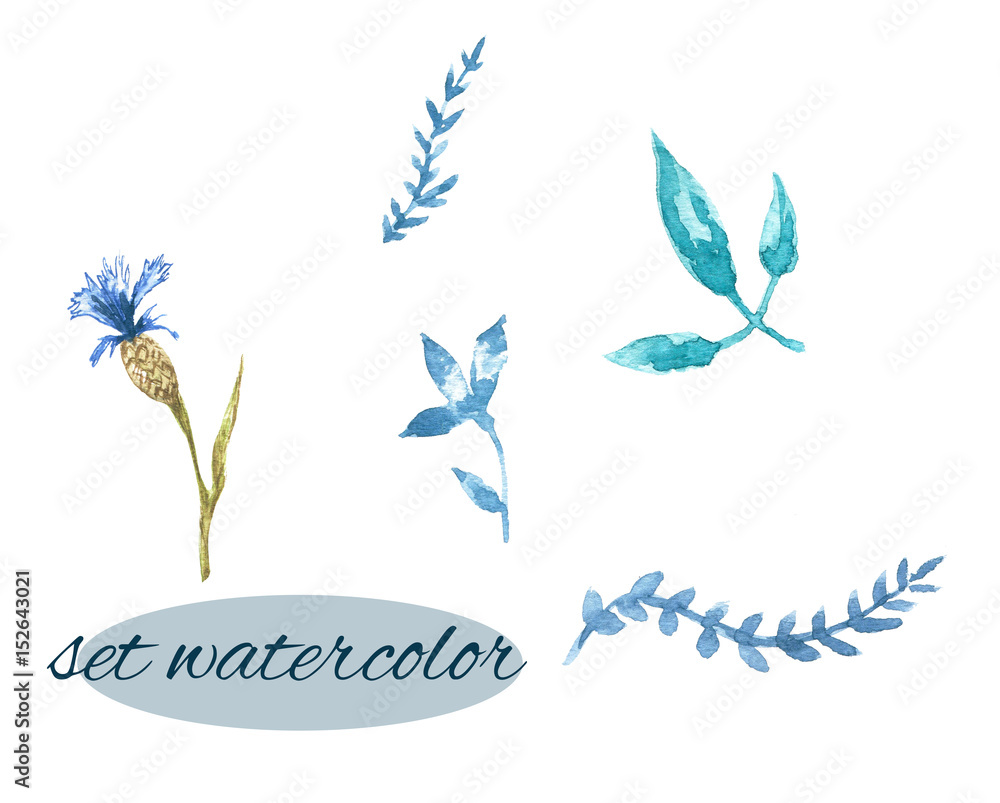 Set watercolor. Sketch the leaves and branches Set watercolor. Sketch the leaves and branches