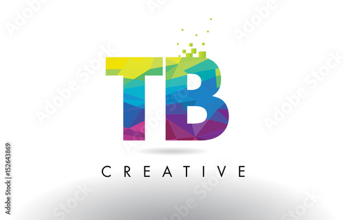 TB T B Colorful Letter Origami Triangles Design Vector.