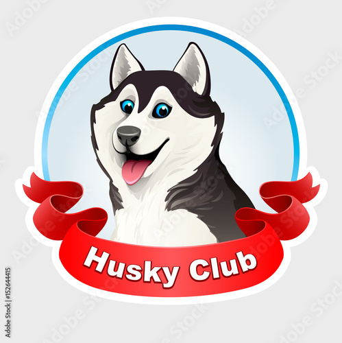 Siberian husky dog. Black and white. Emblem husky club  wiht red ribbon. He put his tongue out, smiling. Cartoon. Vector illustration on a light background. 3D.