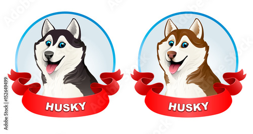 Siberian husky dog. Black and brown. Emblem husky club wiht red ribbon. He put his tongue out, smiling. Cartoon. Vector illustration on a light background. 3D.