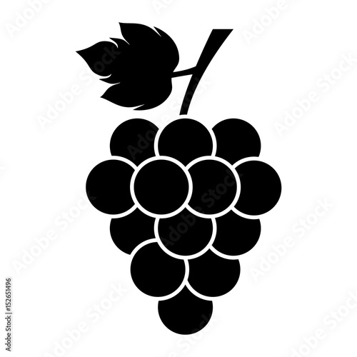 bunch of grapes with leaf