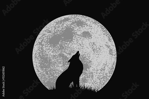 wolf howling to full moon