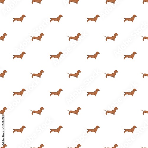 Dachshund dog pattern, cartoon style 