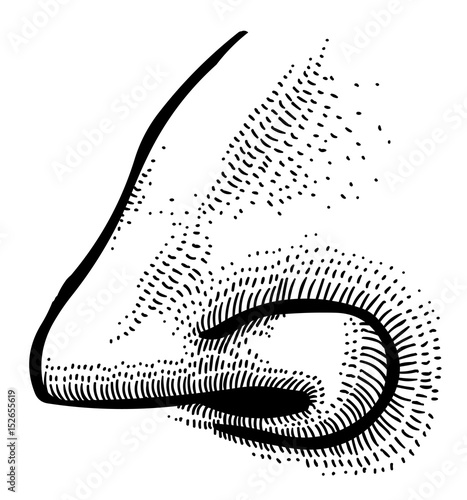 Cartoon image of human nose. An artistic freehand picture.