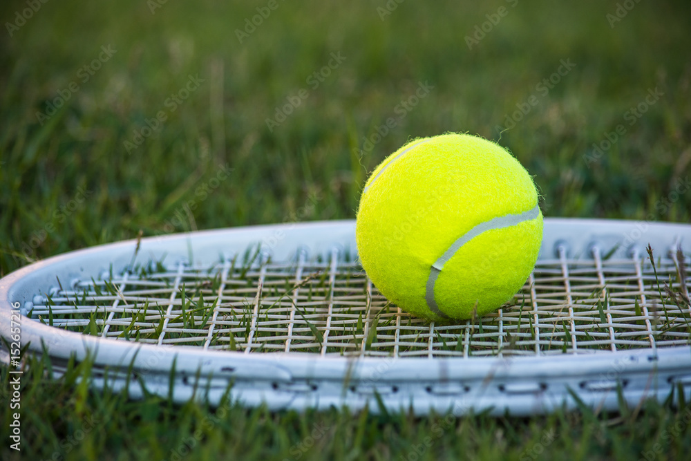 Tennis is a racket sport that is an Olympic sport and is played at all levels of society and at all ages.