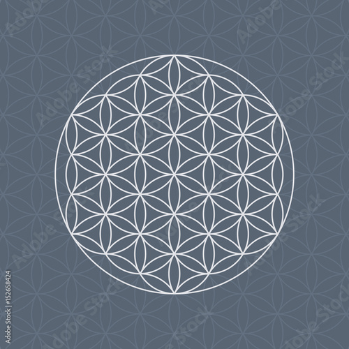 Flower of life