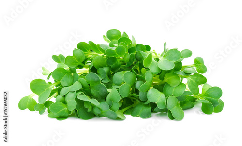 heap of alfalfa sprouts on white background
