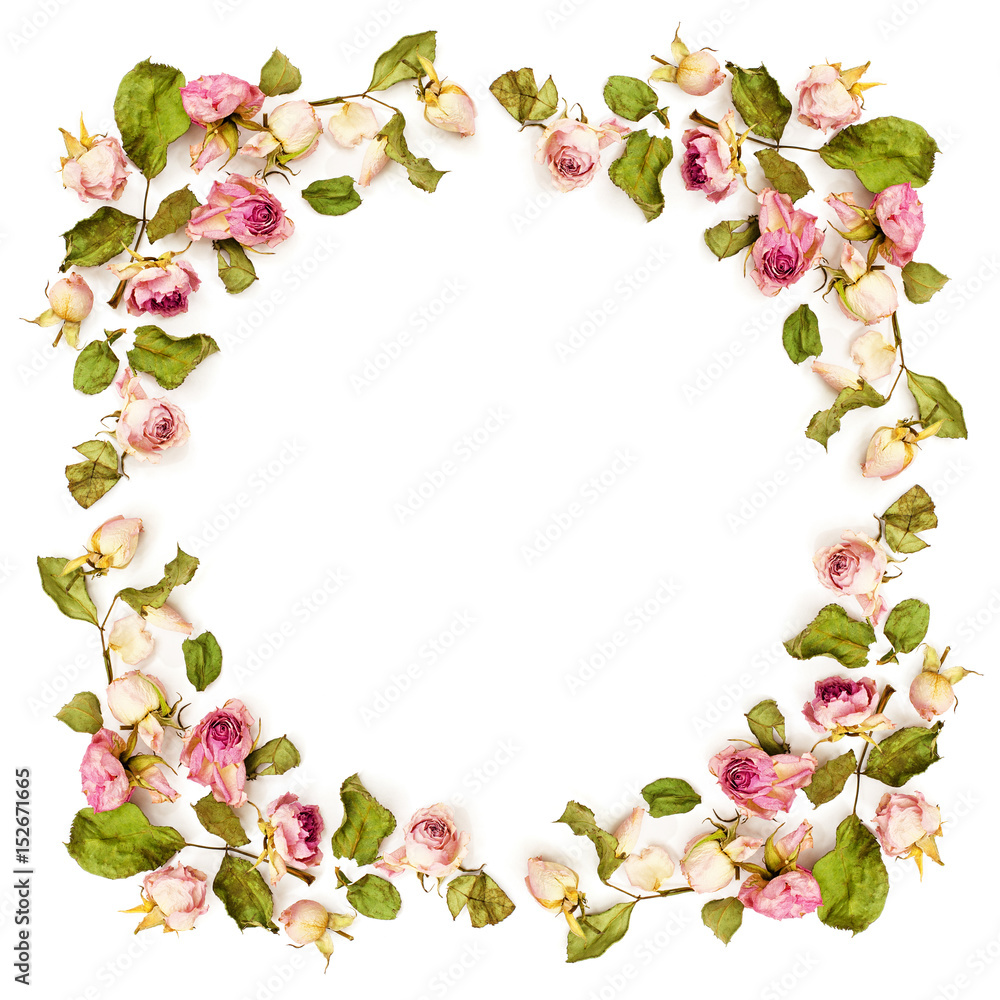 Dried pink rose flowers frame Dried pink rose flowers frame