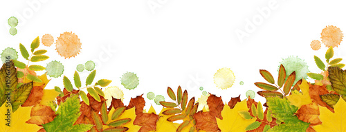 Autumn border with dried le...