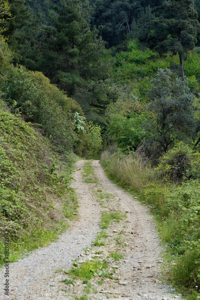 Trail path way Trail path way