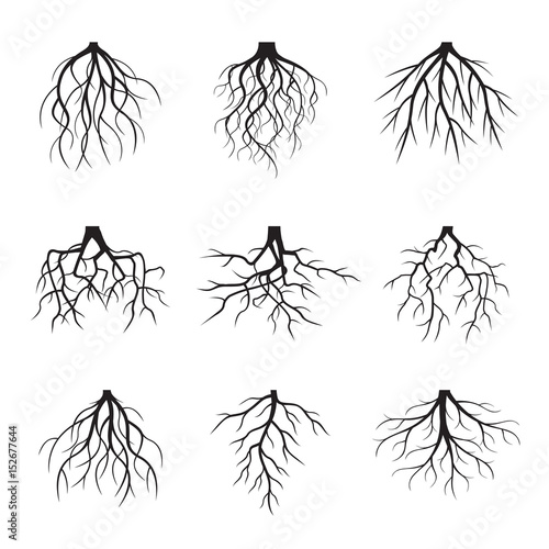 Big set of black roots. Vector Illustration.