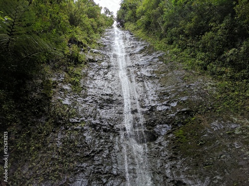 Manoa Falls from the Top
