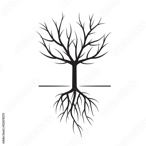 Black Naked Trees and Roots. Vector Illustration.