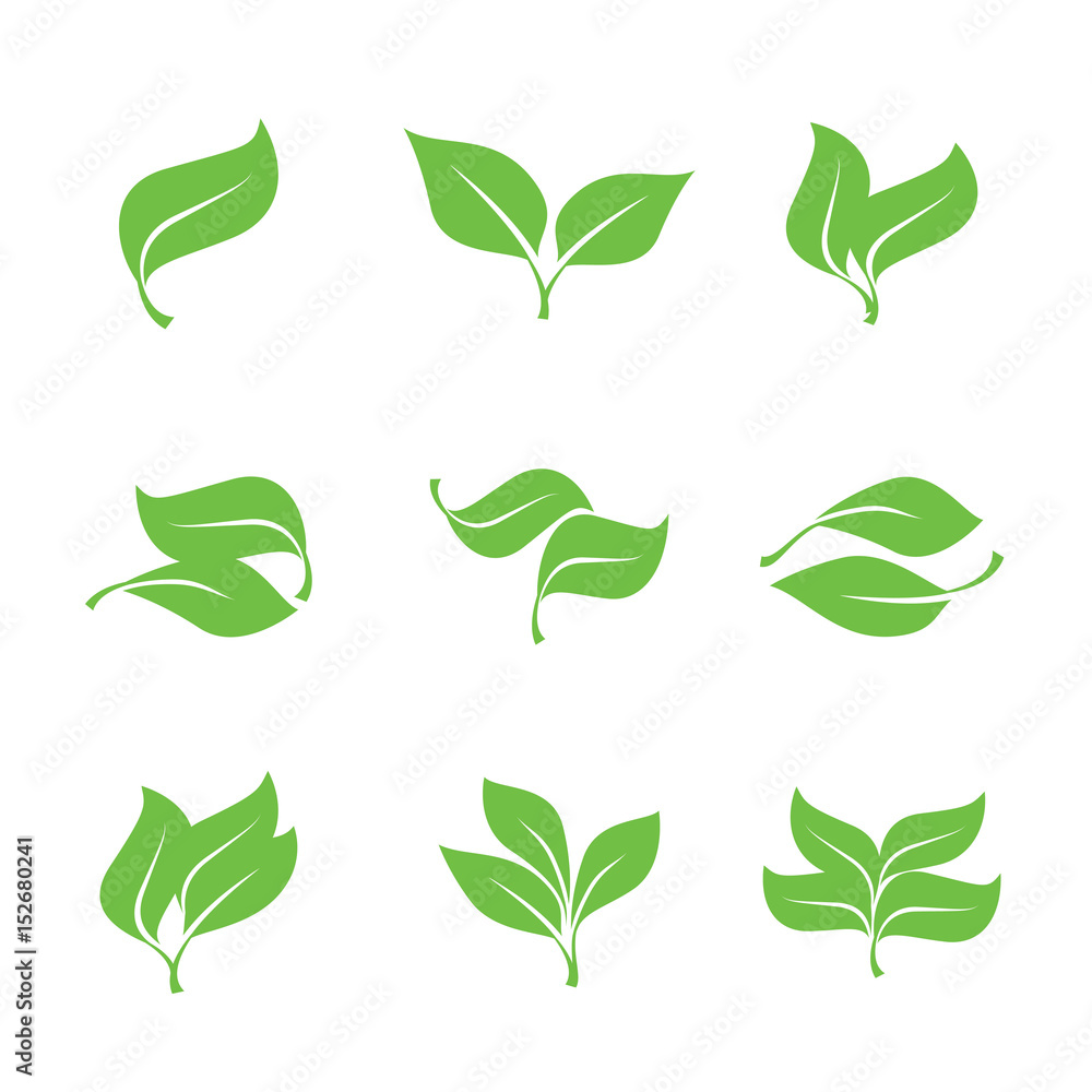 Set green leaves isolated from the background. Vector simple leaves tree. Set green leaves isolated from the background. Vector simple leaves tree.