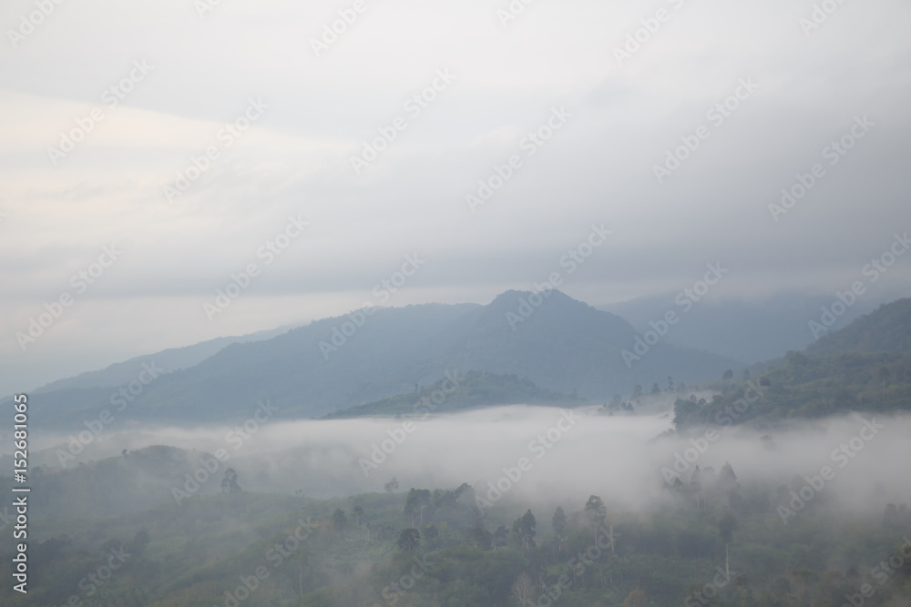 Forested mountain shrouded in mist a scenic landscape view Forested mountain shrouded in mist a scenic landscape view