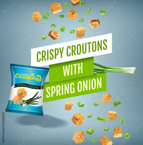 Vector realistic illustration of croutons with spring onion.