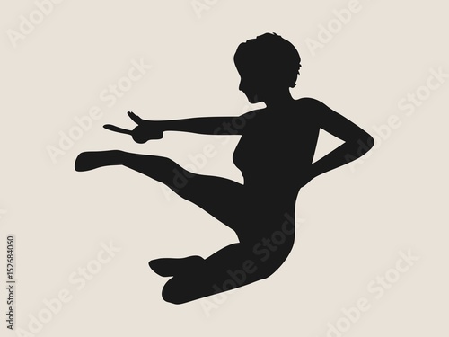 Karate martial art silhouette of woman in sword fight karate pose