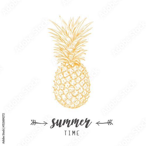 Pineapple yellow  skech. Letitering summer card. Pineapple hand drawing