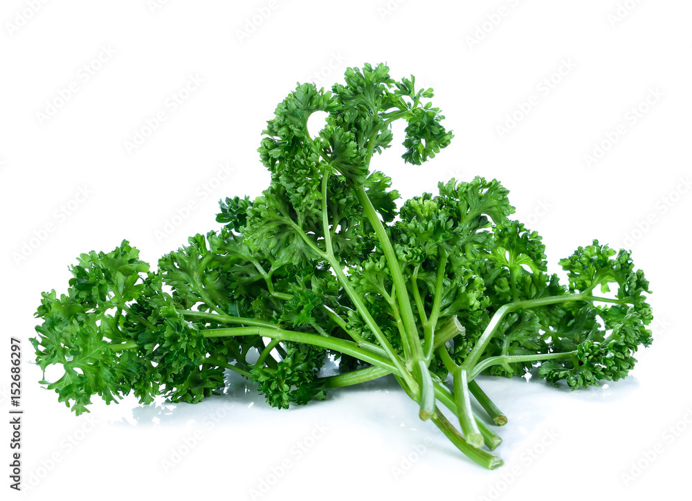 Parsley isolated on a white background Parsley isolated on a white background