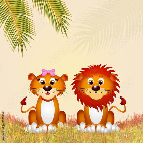 couple of lions