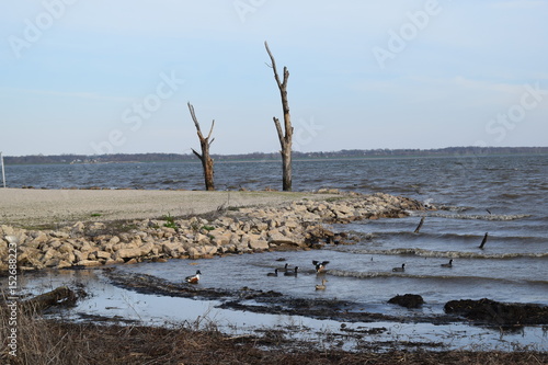 Emiquon wildlife preserve  