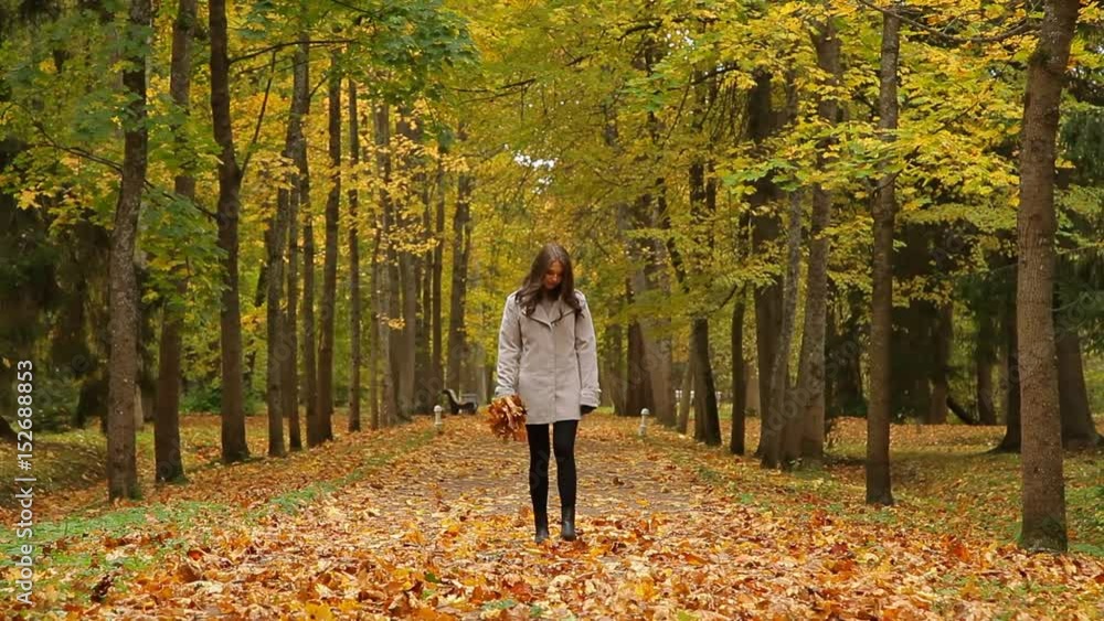 Happy girl, with a bunch of yellow leaves, entertains in a park and throws the leaves Happy girl, with a bunch of yellow leaves, entertains in a park and throws the leaves