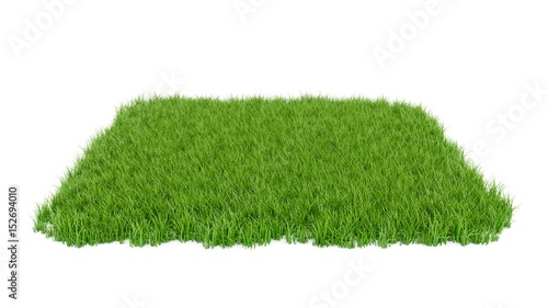 3D Rendering green grass field isolated on white background