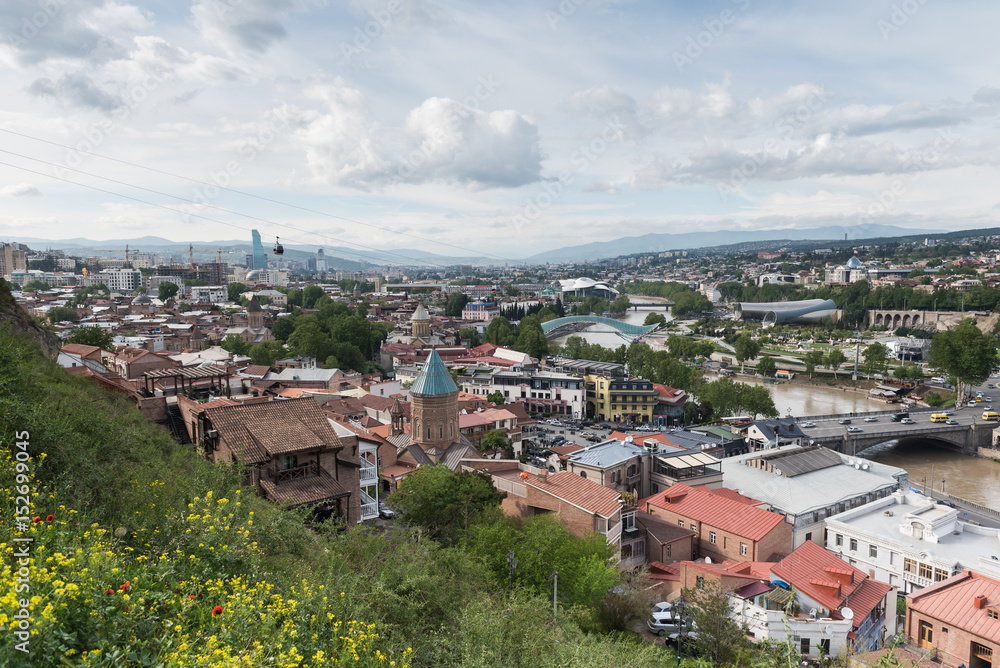 Panoramic view of Tbilisi city with spring flowers