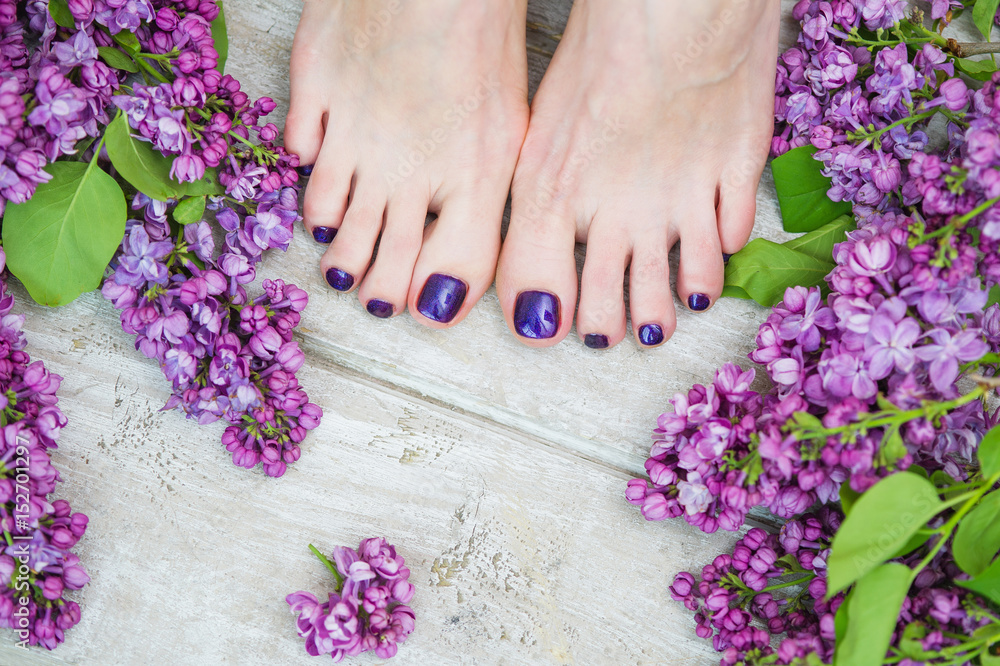 Woman feet with dark purple pedicure and beautiful fresh lilac flowers, beauty treatment Woman feet with dark purple pedicure and beautiful fresh lilac flowers, beauty treatment