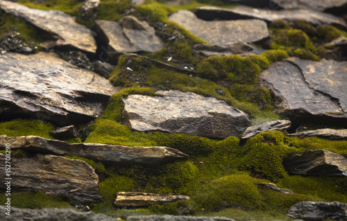 Moss invades a stone wall