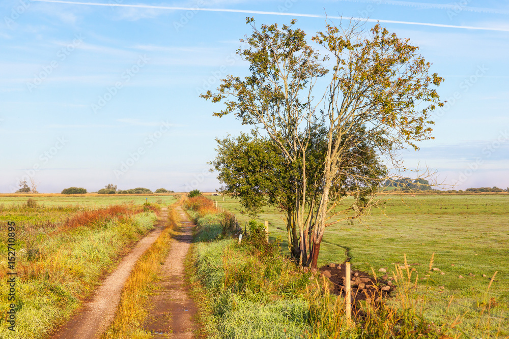 Fototapeta premium Dirt road