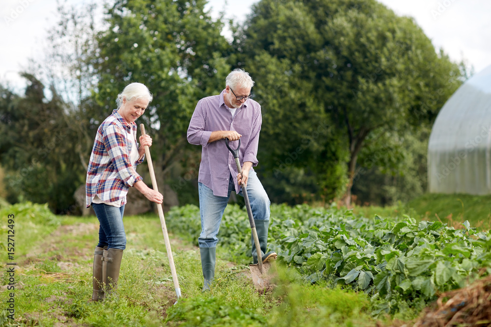 senior couple with shovels at garden or farm senior couple with shovels at garden or farm