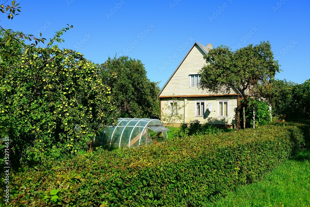 Village house and greenhouse on summer
