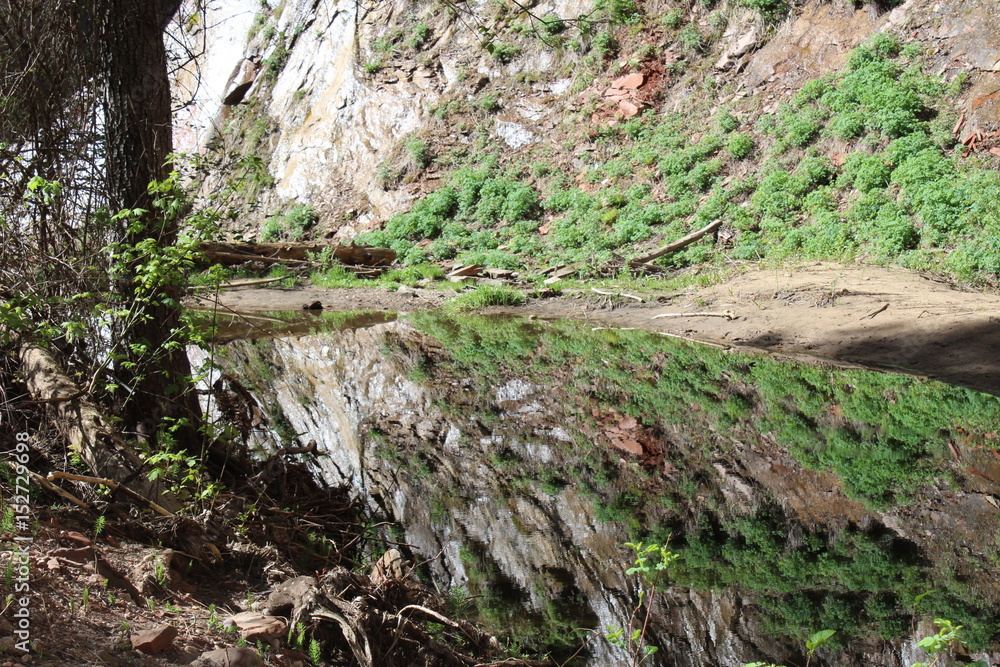 Obraz premium West Fork Trail Sedona Arizona