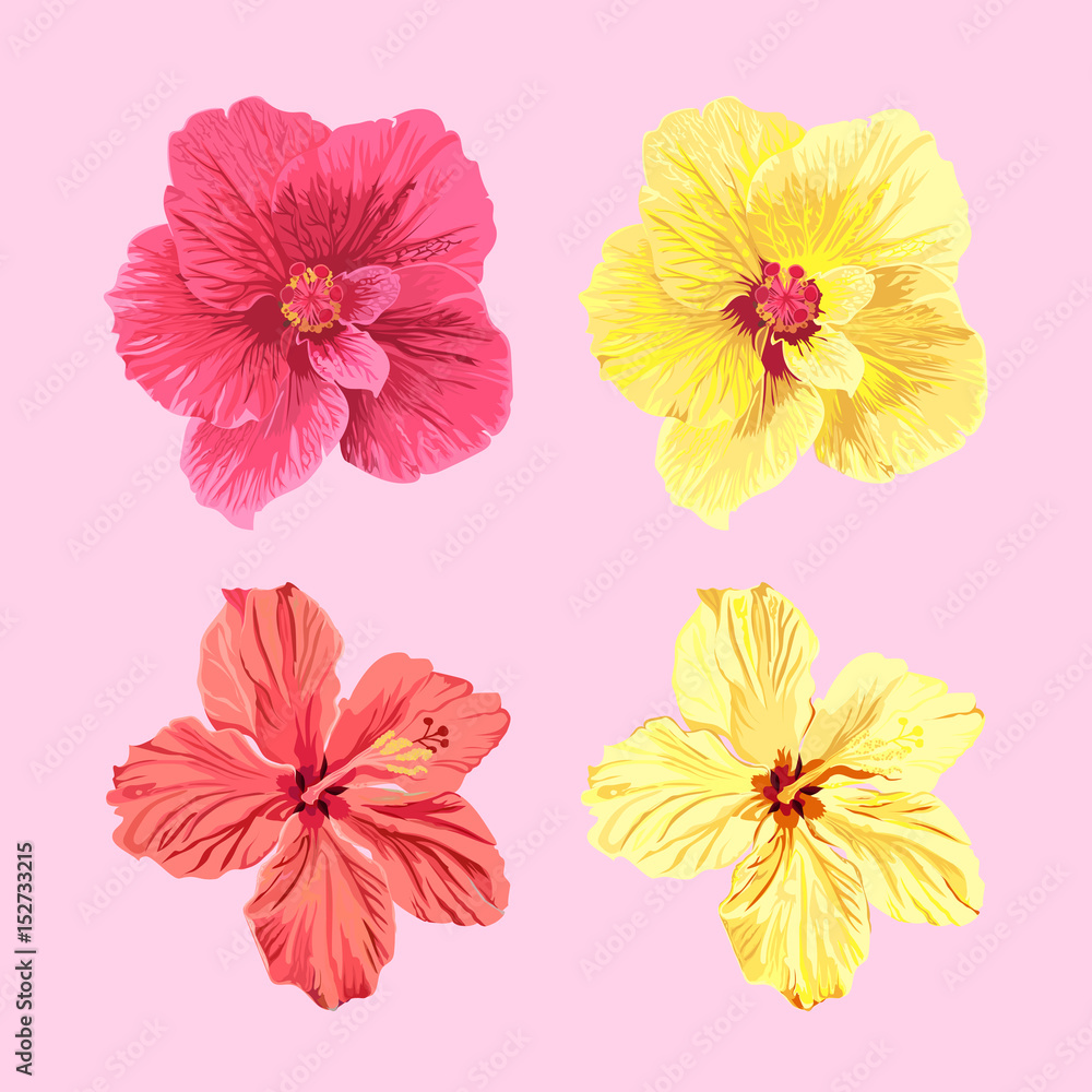 Obraz premium jamaica flowers vector set.
