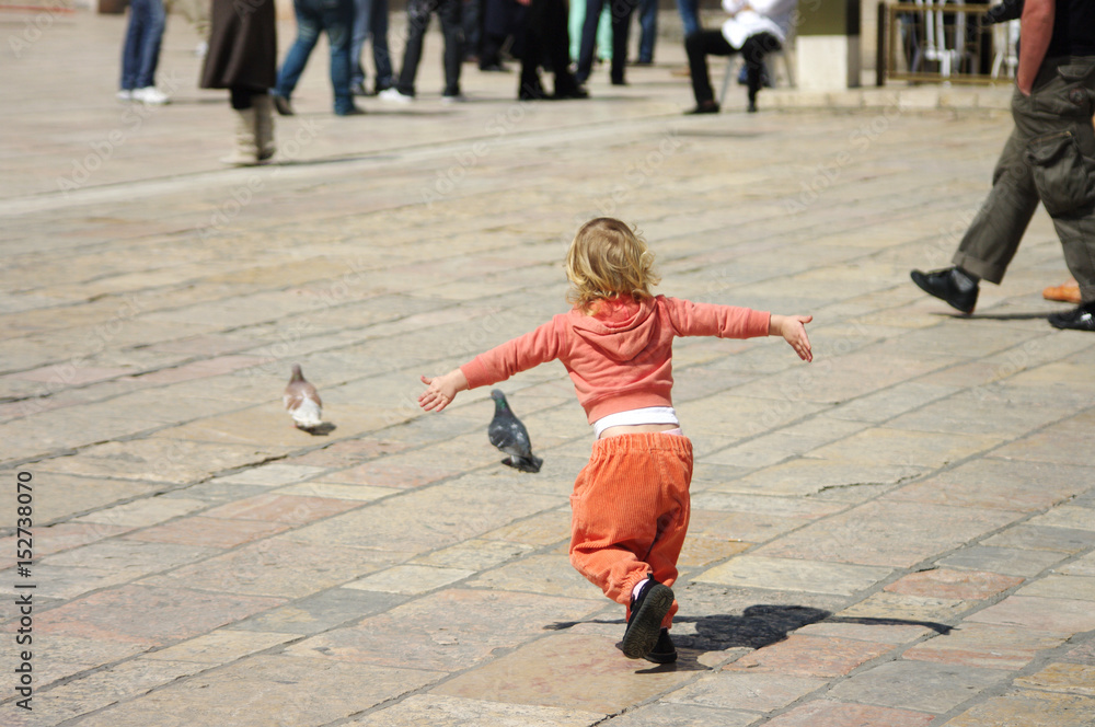 Fototapeta premium Chasing pigeons