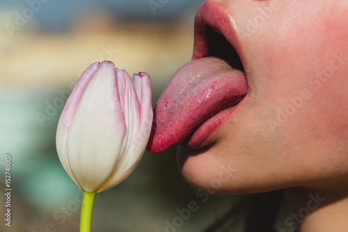 Tongue licking a tulip flower