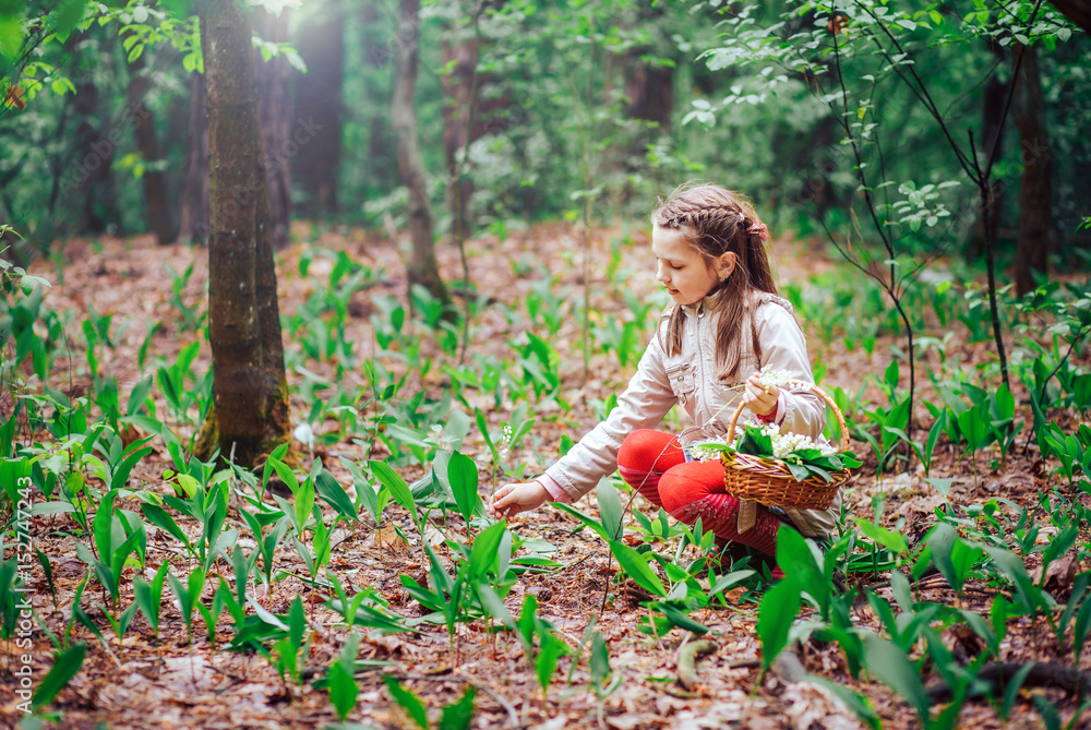 beautiful little girl picking Lily of the valley in the woods beautiful little girl picking Lily of the valley in the woods