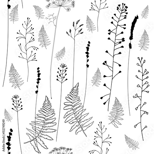 Vector seamless patten with hand drawn wild flowers, herbs and grasses. Silho...