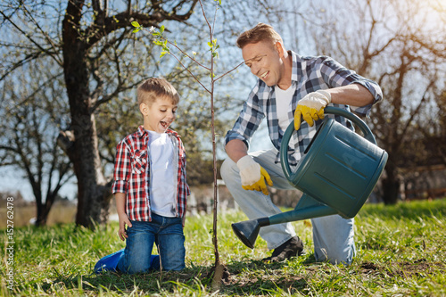 Excited father and son pouring fruit tree in garden