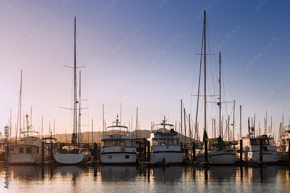 Yachts Docked at a Marina